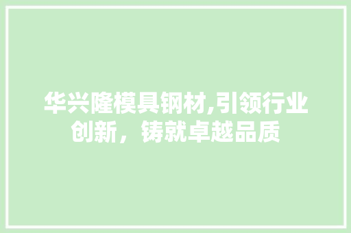 华兴隆模具钢材,引领行业创新，铸就卓越品质