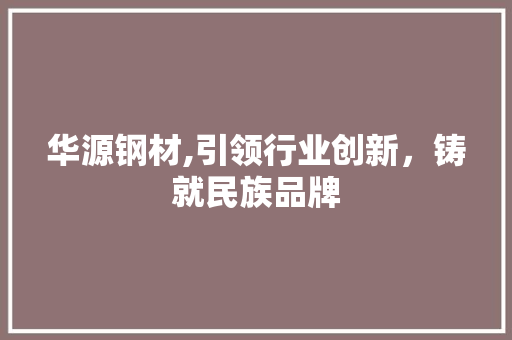 华源钢材,引领行业创新，铸就民族品牌