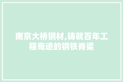 南京大桥钢材,铸就百年工程奇迹的钢铁脊梁