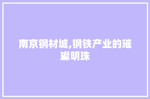 南京钢材城,钢铁产业的璀璨明珠 装修攻略