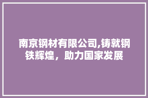 南京钢材有限公司,铸就钢铁辉煌，助力国家发展