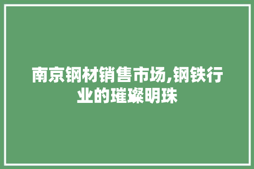 南京钢材销售市场,钢铁行业的璀璨明珠