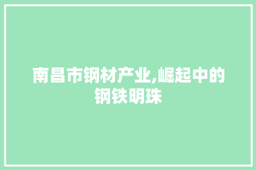 南昌市钢材产业,崛起中的钢铁明珠