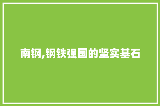 南钢,钢铁强国的坚实基石 隔断设计