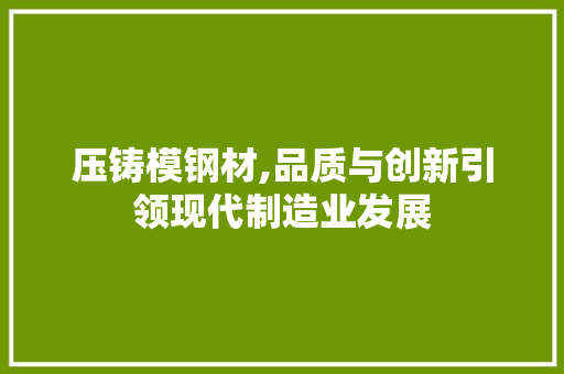 压铸模钢材,品质与创新引领现代制造业发展