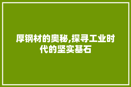 厚钢材的奥秘,探寻工业时代的坚实基石