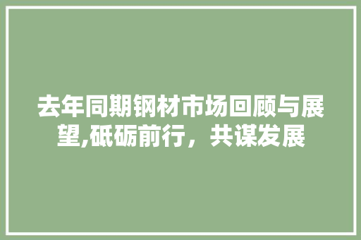 去年同期钢材市场回顾与展望,砥砺前行，共谋发展