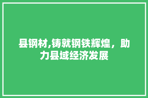 县钢材,铸就钢铁辉煌，助力县域经济发展 装修材料