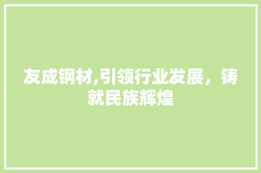 友成钢材,引领行业发展，铸就民族辉煌