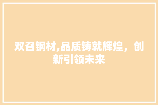 双召钢材,品质铸就辉煌，创新引领未来