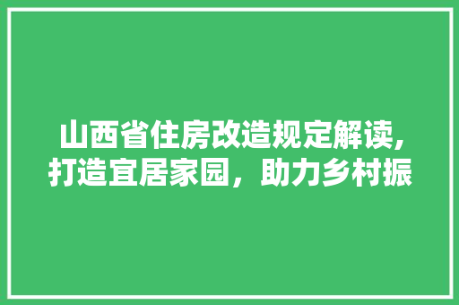 山西省住房改造规定解读,打造宜居家园，助力乡村振兴