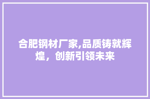 合肥钢材厂家,品质铸就辉煌，创新引领未来