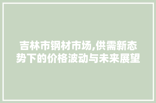 吉林市钢材市场,供需新态势下的价格波动与未来展望