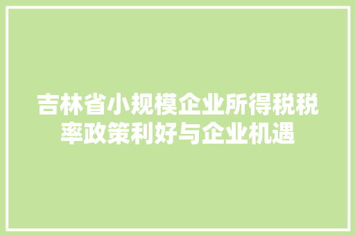 吉林省小规模企业所得税税率政策利好与企业机遇