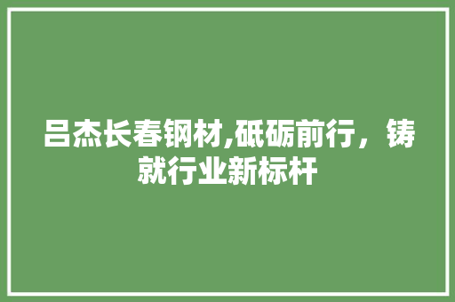 吕杰长春钢材,砥砺前行，铸就行业新标杆