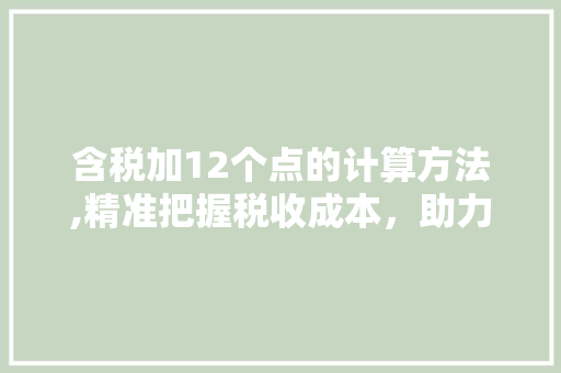 含税加12个点的计算方法,精准把握税收成本，助力企业稳健发展