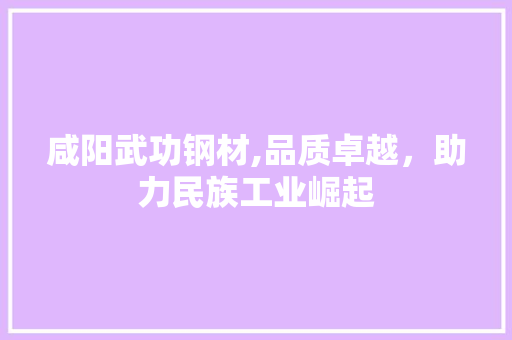 咸阳武功钢材,品质卓越，助力民族工业崛起