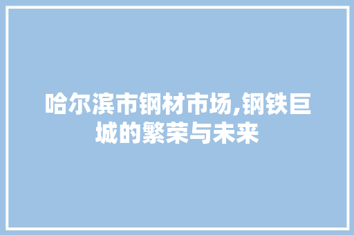 哈尔滨市钢材市场,钢铁巨城的繁荣与未来