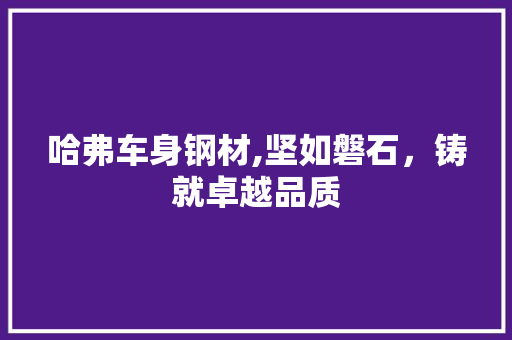 哈弗车身钢材,坚如磐石，铸就卓越品质