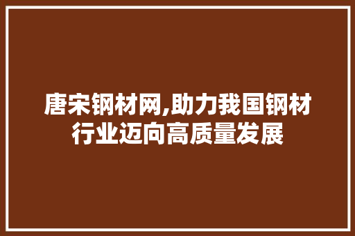 唐宋钢材网,助力我国钢材行业迈向高质量发展