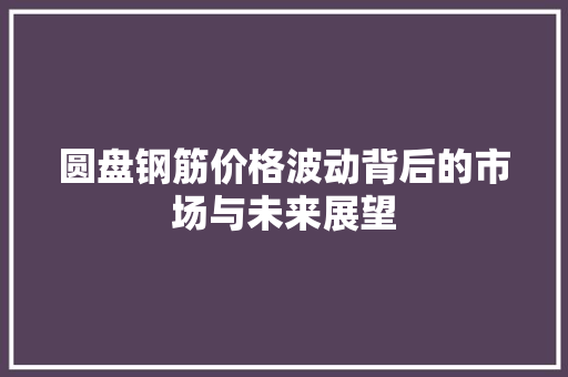 圆盘钢筋价格波动背后的市场与未来展望