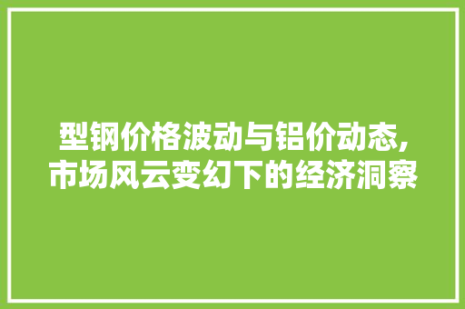 型钢价格波动与铝价动态,市场风云变幻下的经济洞察