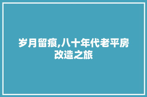 岁月留痕,八十年代老平房改造之旅