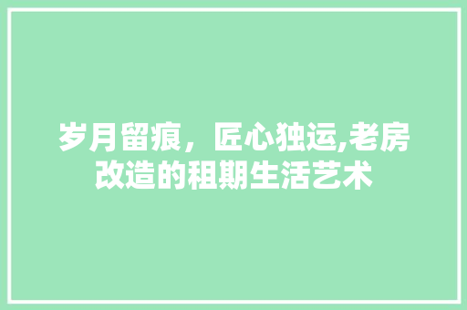 岁月留痕，匠心独运,老房改造的租期生活艺术