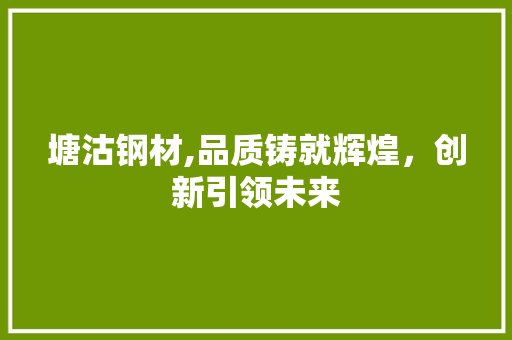 塘沽钢材,品质铸就辉煌，创新引领未来