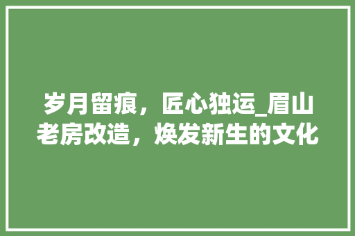 岁月留痕，匠心独运_眉山老房改造，焕发新生的文化传承之路