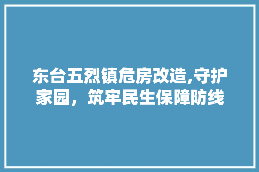 东台五烈镇危房改造,守护家园，筑牢民生保障防线