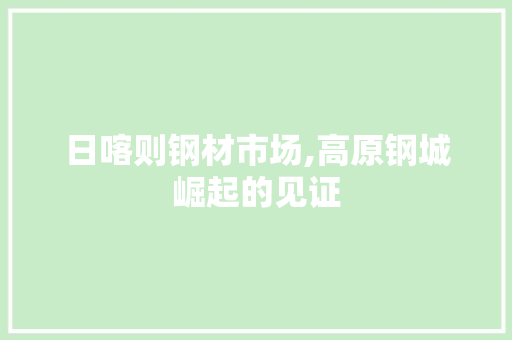 日喀则钢材市场,高原钢城崛起的见证