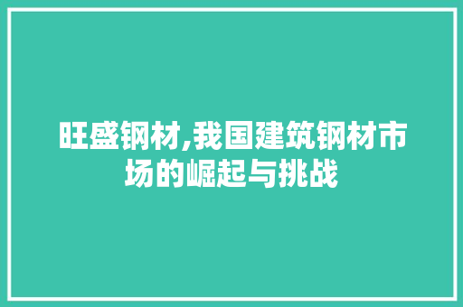 旺盛钢材,我国建筑钢材市场的崛起与挑战