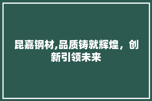 昆嘉钢材,品质铸就辉煌，创新引领未来