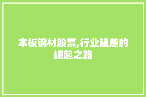 本板钢材股票,行业翘楚的崛起之路