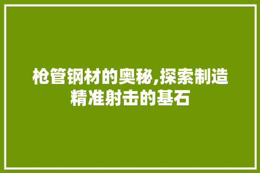 枪管钢材的奥秘,探索制造精准射击的基石 景观设计