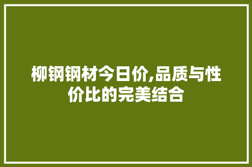 柳钢钢材今日价,品质与性价比的完美结合
