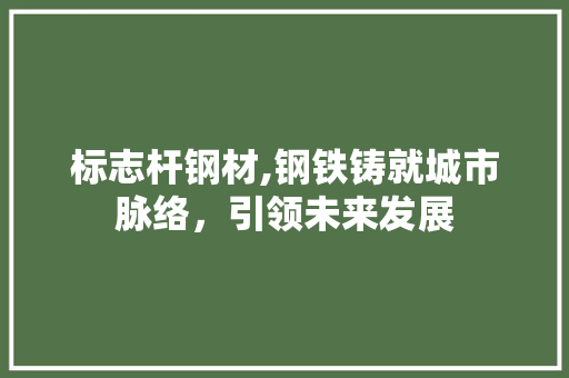 标志杆钢材,钢铁铸就城市脉络，引领未来发展 墙面装饰