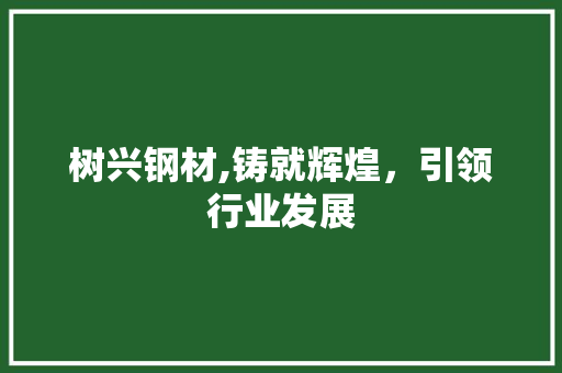 树兴钢材,铸就辉煌，引领行业发展
