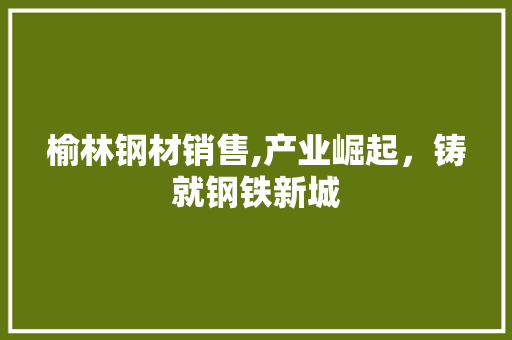 榆林钢材销售,产业崛起，铸就钢铁新城