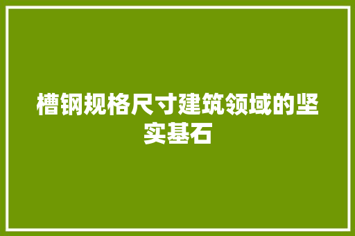槽钢规格尺寸建筑领域的坚实基石