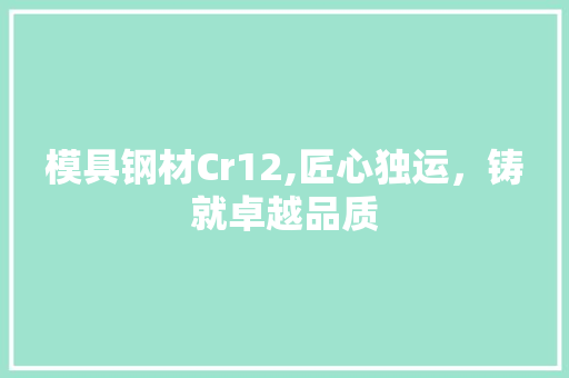 模具钢材Cr12,匠心独运，铸就卓越品质