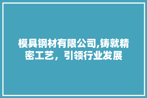 模具钢材有限公司,铸就精密工艺，引领行业发展