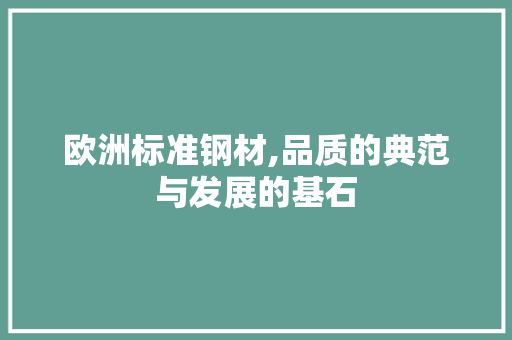 欧洲标准钢材,品质的典范与发展的基石