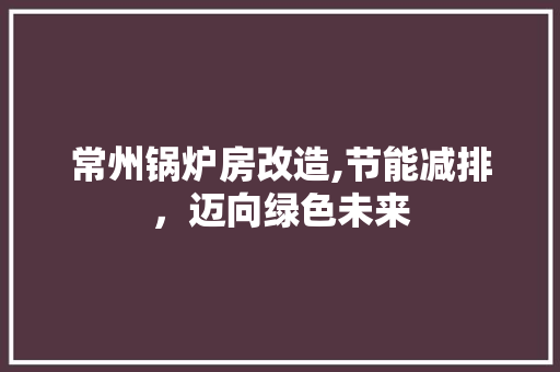 常州锅炉房改造,节能减排，迈向绿色未来