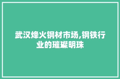 武汉烽火钢材市场,钢铁行业的璀璨明珠 装修材料