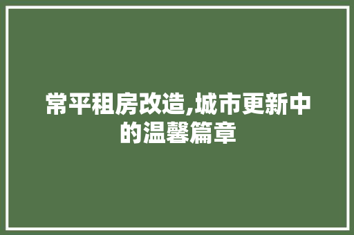 常平租房改造,城市更新中的温馨篇章