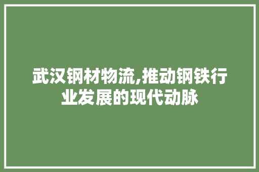 武汉钢材物流,推动钢铁行业发展的现代动脉