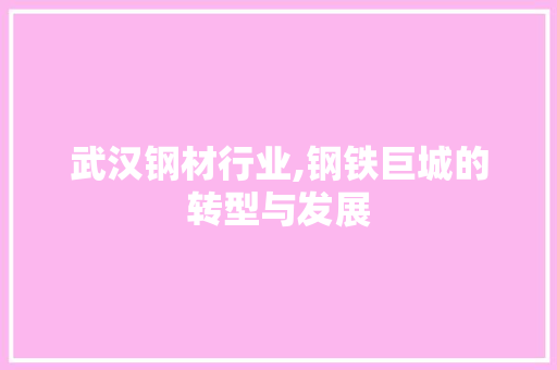武汉钢材行业,钢铁巨城的转型与发展