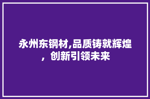 永州东钢材,品质铸就辉煌，创新引领未来